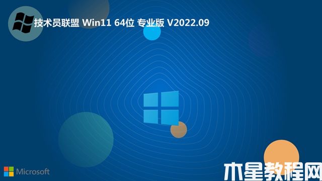 技術(shù)員聯(lián)盟win11 64位 純凈精選版v2022.09(圖5)