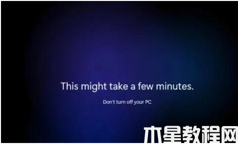 win11系統(tǒng)下載步驟(圖5)