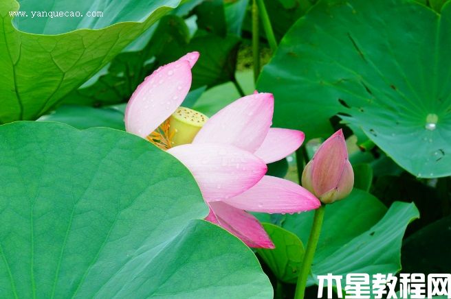 遼寧鐵寧