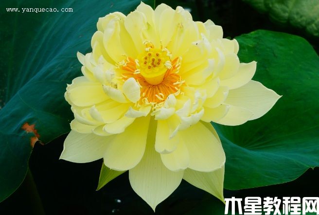 秣陵秋色