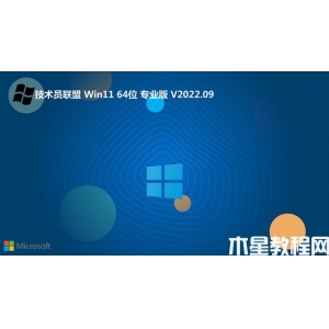 技術員聯(lián)盟win11 64位 純凈精選版v2022.09